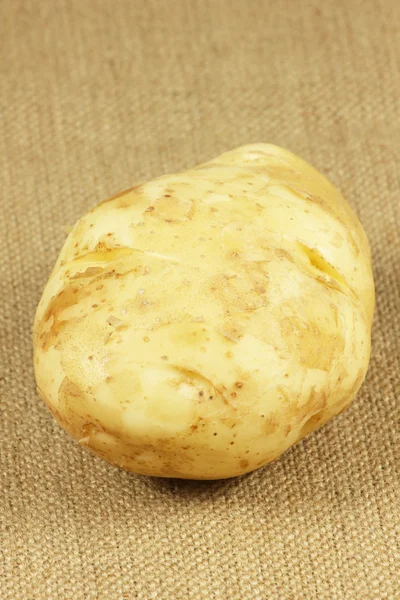 Potato — Stock Photo, Image