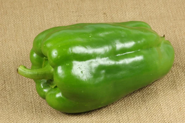 Pepper — Stock Photo, Image