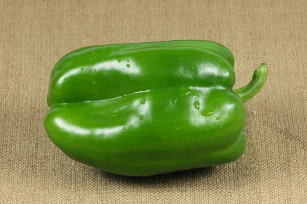 Pepper — Stock Photo, Image