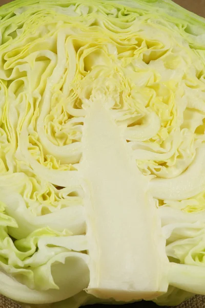 Green cabbage — Stock Photo, Image