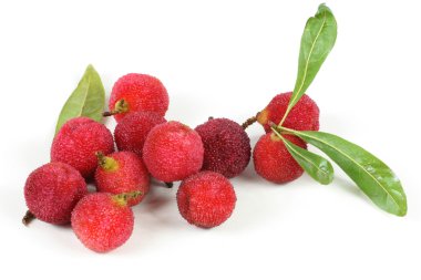 kocayemiş beyaz zemin üzerine