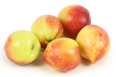 beyaz zemin üzerine kuru soğan