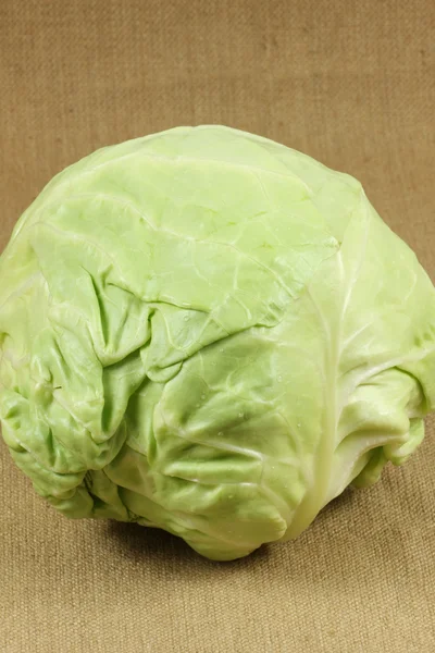 Green cabbage — Stock Photo, Image