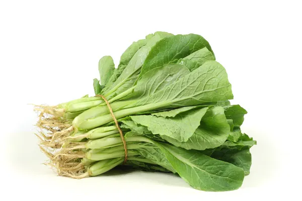 Small Chinese cabbage on white background — Stock Photo, Image