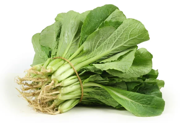 Small Chinese cabbage on white background — Stock Photo, Image