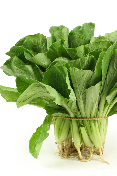 Small Chinese cabbage on white background — Stock Photo, Image