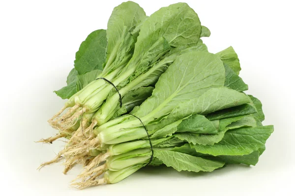 Small Chinese cabbage on white background — Stock Photo, Image