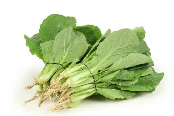 Small Chinese cabbage on white background — Stock Photo, Image