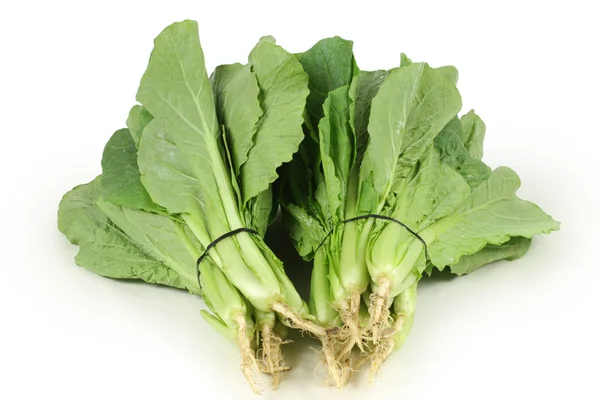 Small Chinese cabbage on white background — Stock Photo, Image