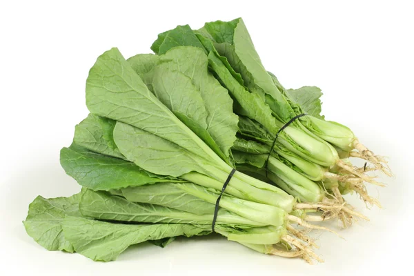 Small Chinese cabbage on white background — Stock Photo, Image