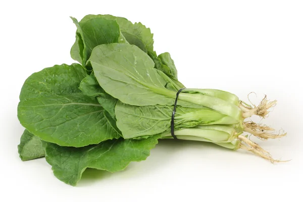 Small Chinese cabbage on white background — Stock Photo, Image