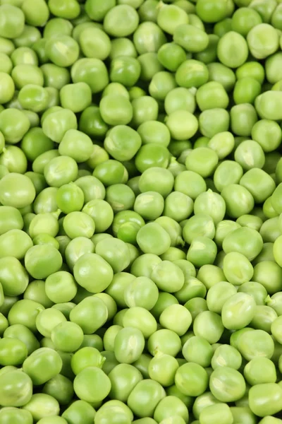 Guisantes verdes sobre el fondo blanco —  Fotos de Stock