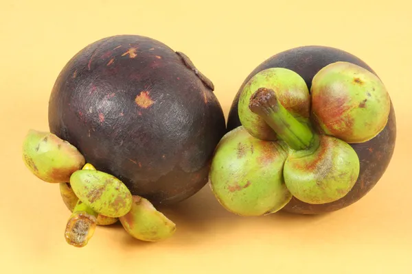 Mangosteen — Stock Photo, Image