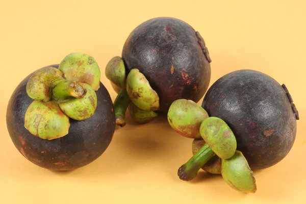 Mangosteen — Stok fotoğraf