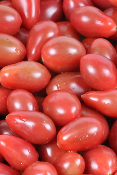 Tomates rojos —  Fotos de Stock