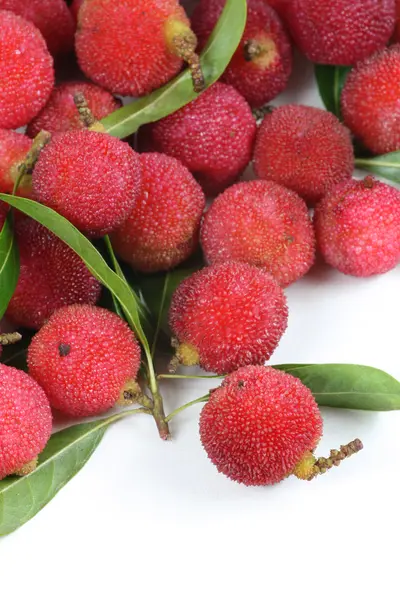 Arbutus on white background — Stock Photo, Image