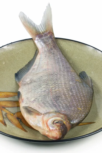 Fischfutter — Stockfoto