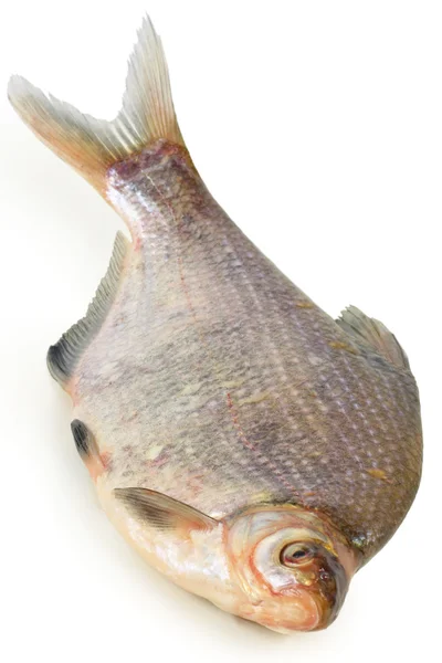Fischfutter — Stockfoto