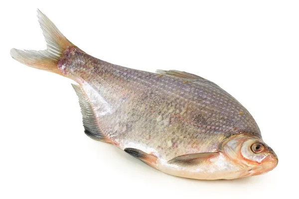 Balık yemi — Stok fotoğraf