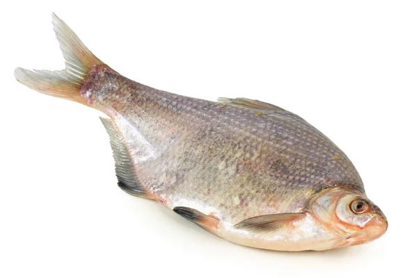 Fischfutter — Stockfoto