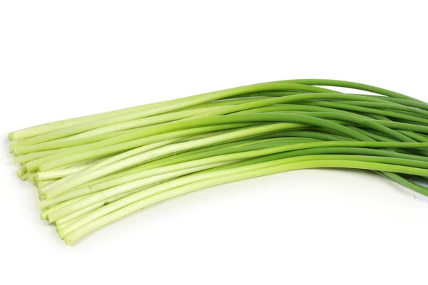 Green Onion on white background — Stock Photo, Image