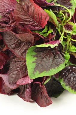 Mor beyaz zemin üzerine