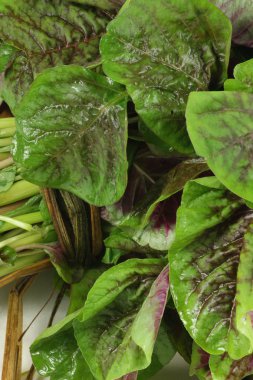 Mor beyaz zemin üzerine