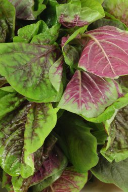 Mor beyaz zemin üzerine