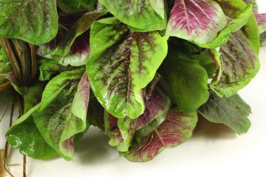 Mor beyaz zemin üzerine