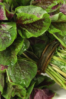 Mor beyaz zemin üzerine