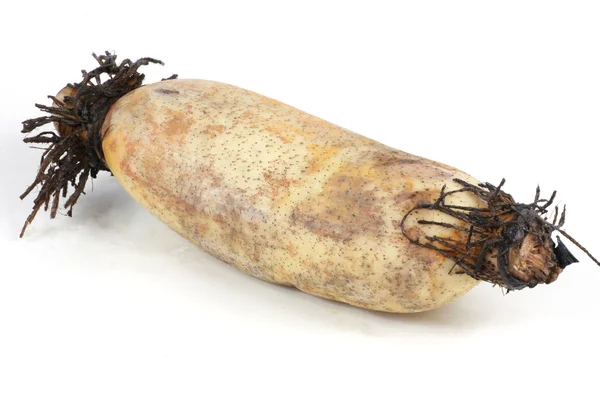 Lotus root on the white background — Stock Photo, Image