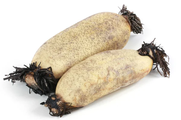 Lotus root on the white background — Stock Photo, Image