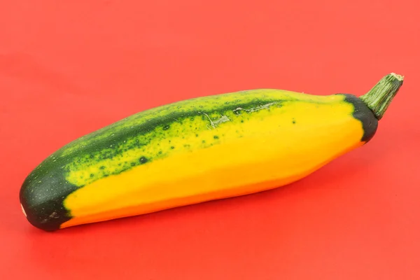 Zucchini — Stock Photo, Image