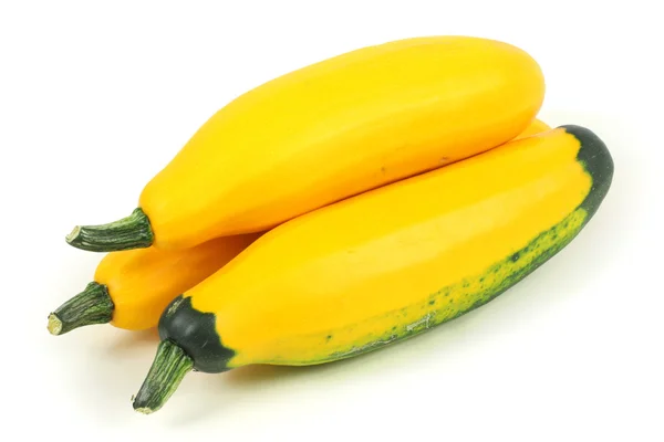 Zucchini — Stockfoto