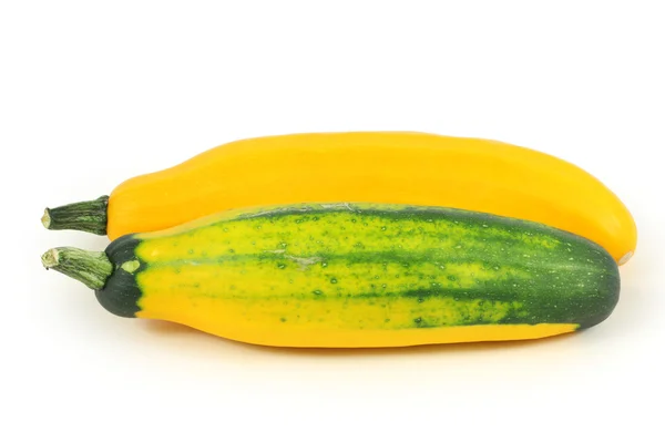 Zucchini — Stockfoto