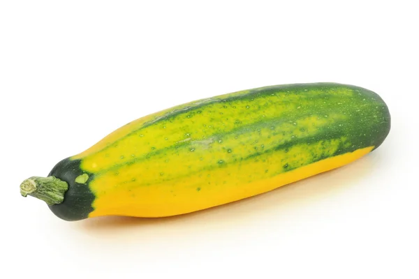 Zucchini — Stockfoto