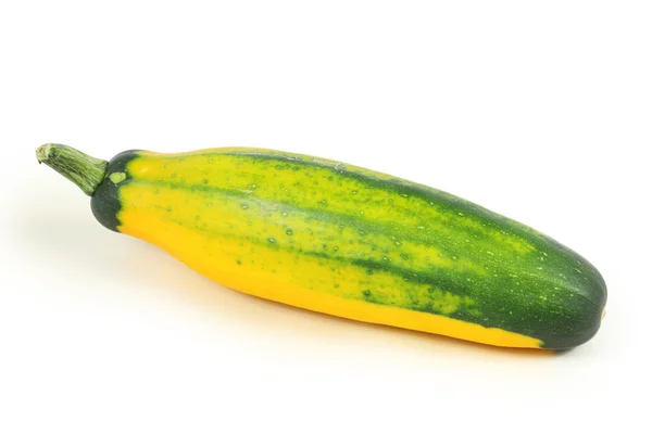 Zucchini — Stock Photo, Image