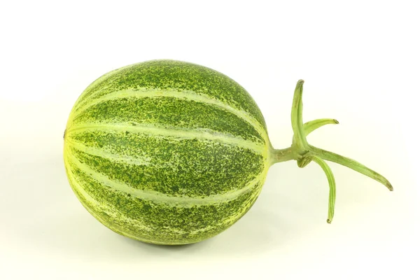 Melon — Photo