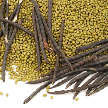 Beyaz arka planda mung fasulyesi