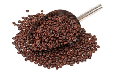 Kahve çekirdeği