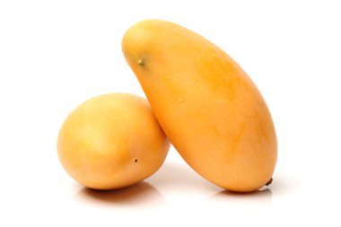 Mango beyaz zemin üzerine