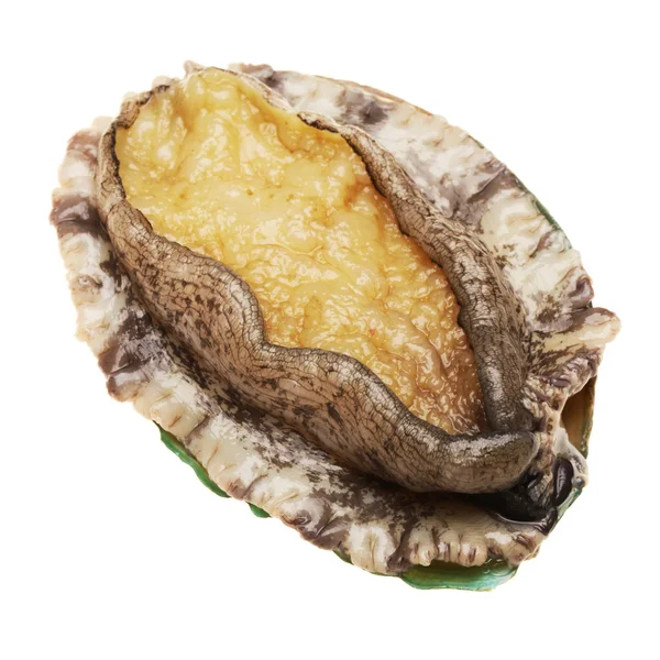 Beyaz arkaplanda ham abalonlar — Stok fotoğraf