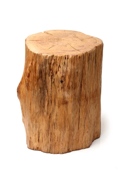 Log isolated on a white background — Stock Photo, Image