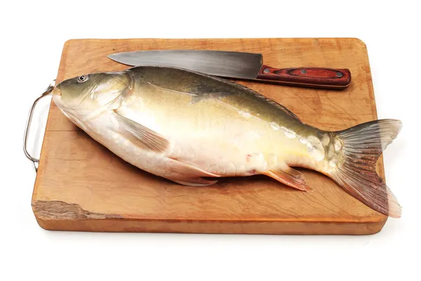 Carpa de pescado crudo sobre fondo blanco —  Fotos de Stock