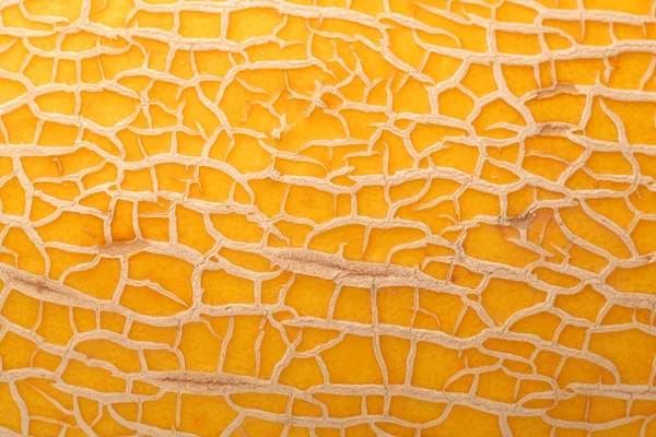 Meloni gialli melata isolati su sfondo bianco — Foto Stock