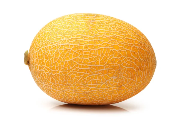 Melones amarillos de melón aislados sobre fondo blanco — Foto de Stock