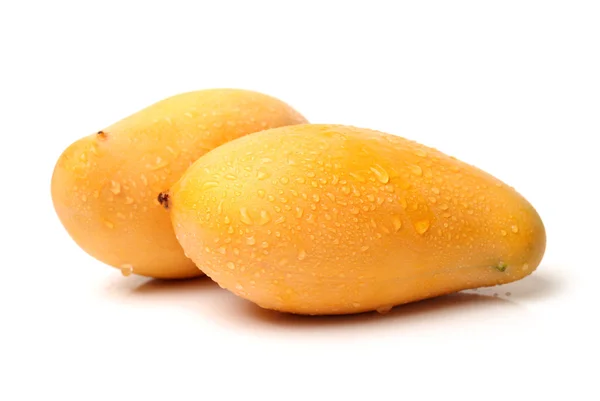 Mangos sobre fondo blanco — Foto de Stock