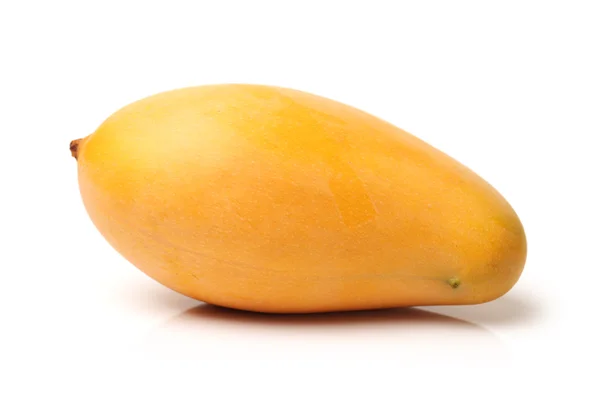 Mango på vit bakgrund — Stockfoto