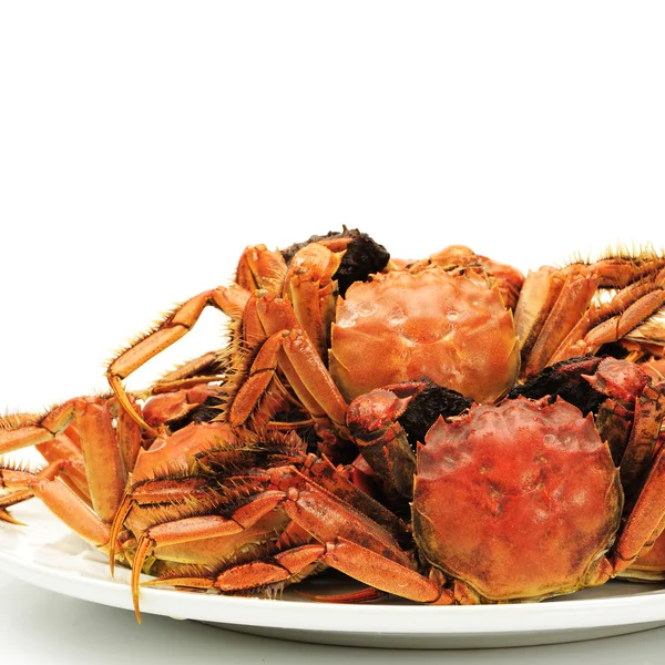 Crabe sur fond blanc — Photo