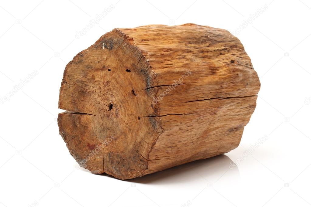 Log isolated on a white background